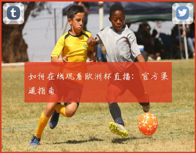 如何在线观看欧洲杯直播:官方渠道指南